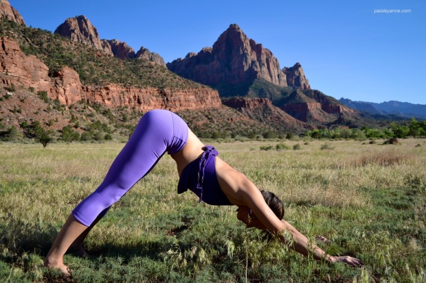 Downward Dog :: Under the Watchman in Zion National Park